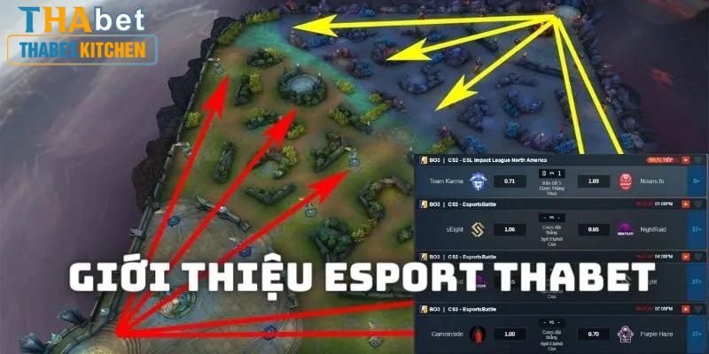 Thabet giới thiệu kinh nghiệm chơi Esport