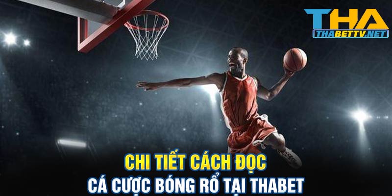 Chi tiết cách đọc cá cược bóng rổ tại Thabet